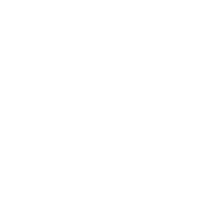 LogoInstagram